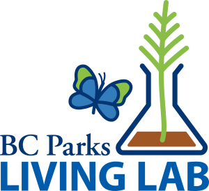 Living Lab Logo